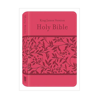 Holy Bible: KJV Large Print Thumb Index Edition: Brown (King James Bible) 